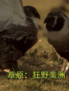 ��ԭ��Ұ��������ȫ��