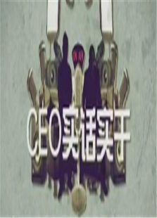 CEOʵʵ2011