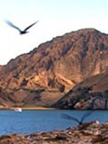 ������������ȫ��