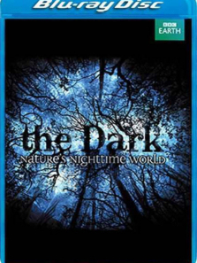 �ڰ��е���Ȼ������ȫ��