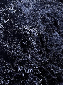 �ɿɵ�����ʷ����ȫ��