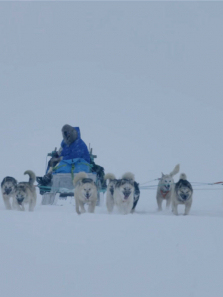 ѩ��ȮӢ�İ�����ȫ��