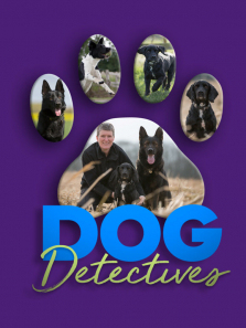 С����̽����ȫ��