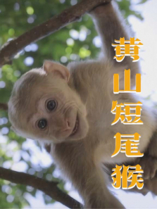 ��ɽ��β������ȫ��