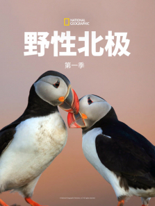 Ұ�Ա�����1������ȫ��