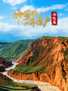 �й��������Ų�����ƪ����ȫ��