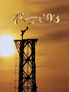 ����603����ȫ��