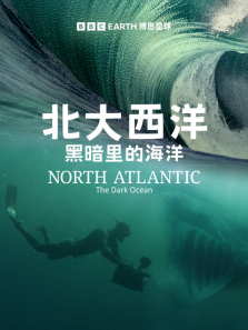 ��������ڰ���ĺ�������ȫ��