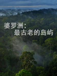 ����������ϵĵ�������ȫ��