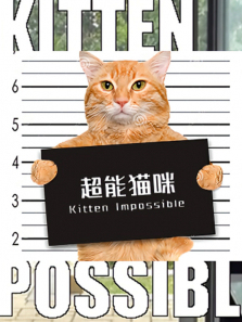 ����è������ȫ��