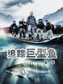 ׷�پ������1������ȫ��