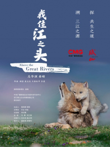 ��ס��֮ͷ����ȫ��