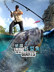 ׷�پ������������2������ȫ��