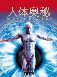 �����������ȫ��