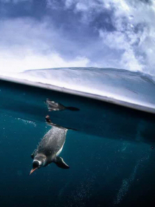 �ص����֮������ȫ��