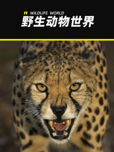 Ұ��������������ȫ��