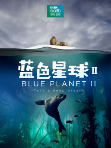 ��ɫ�����2��Ӣ�İ�����ȫ��