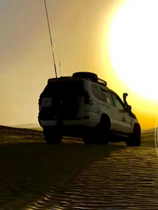 �ط�N39����ȫ��