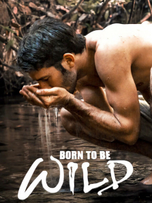 ������Ұ����������ȫ��