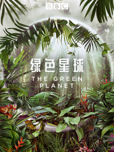 ��ɫ��������ȫ��