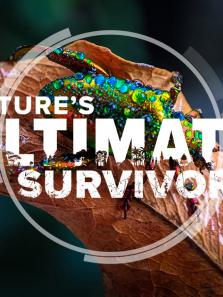 ������������ȫ��