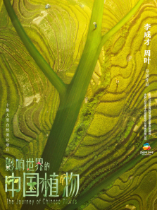 Ӱ��������й�ֲ������ȫ��