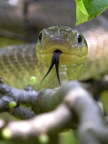 �ߵ�������������ȫ��