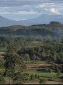 ��ʥ���������ȫ��