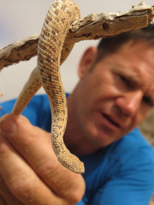 ������������ȫ��