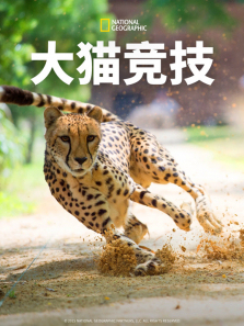 ��è��������ȫ��