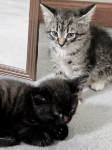 �ȳ������ȫ��