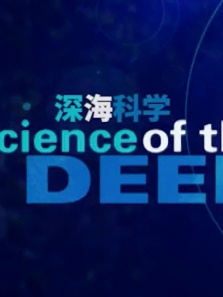 ���ѧ����ȫ��