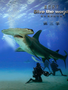 Ǳ�����µ�3������ȫ��