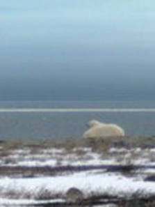 ���豱��������ȫ��