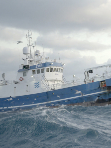 ���������ȫ��