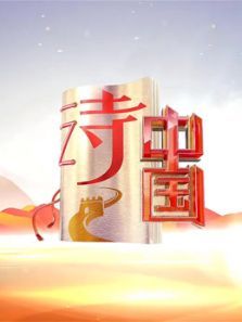 诗中国 第2季