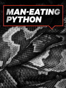 ������������ȫ��