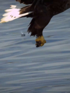 �ٶ�����������ȫ��