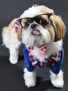 ��Ź�������ȫ��