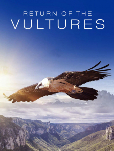 ͺ�չ�������ȫ��