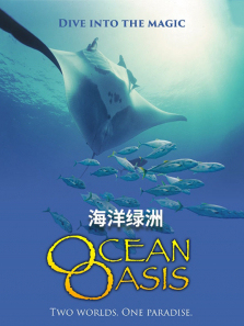 ������������ȫ��