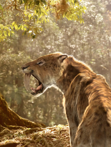 ������ͬ������ȫ��