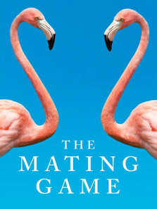 ��ż��Ϸ����ȫ��