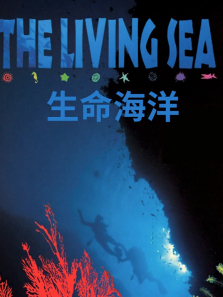 ������������ȫ��