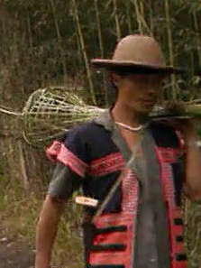 ���ͺӹ���Ҷ������ȫ��