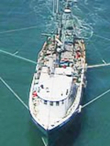 ŦԼ�����������ȫ��