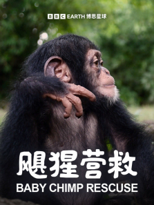 ���Ӫ������ȫ��