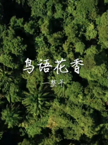 ���ﻨ��һ��������ȫ��