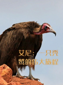 ����һֻͺ�յ�ΰ���ó�����ȫ��