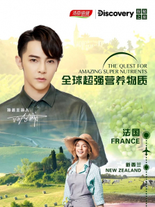 ȫ��ǿӪ����������ȫ��